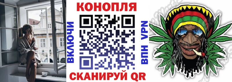 где купить наркотик  omg как войти  Конопля OG Kush  Тихорецк 